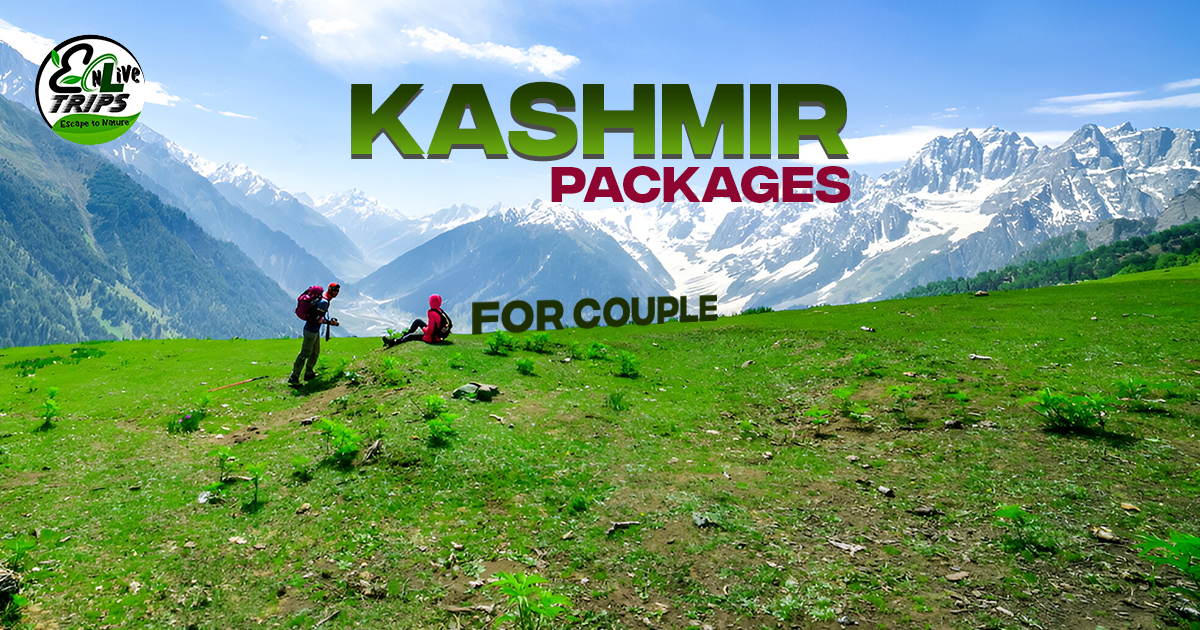 Kashmir packages for couple